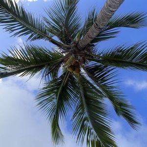 Meet your Posher, Gerald